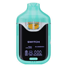 boutiq switch