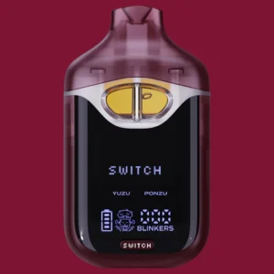 boutiq switch