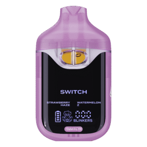 boutiq switch