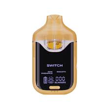 boutiq switch